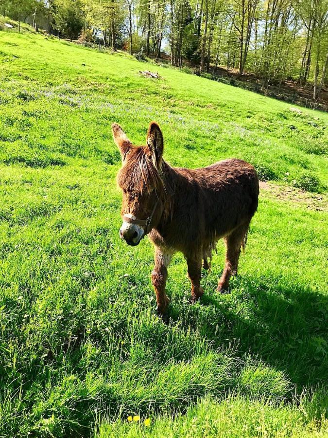 Les Gites De La Maison Lierue Thiron-Gardais Bagian luar foto